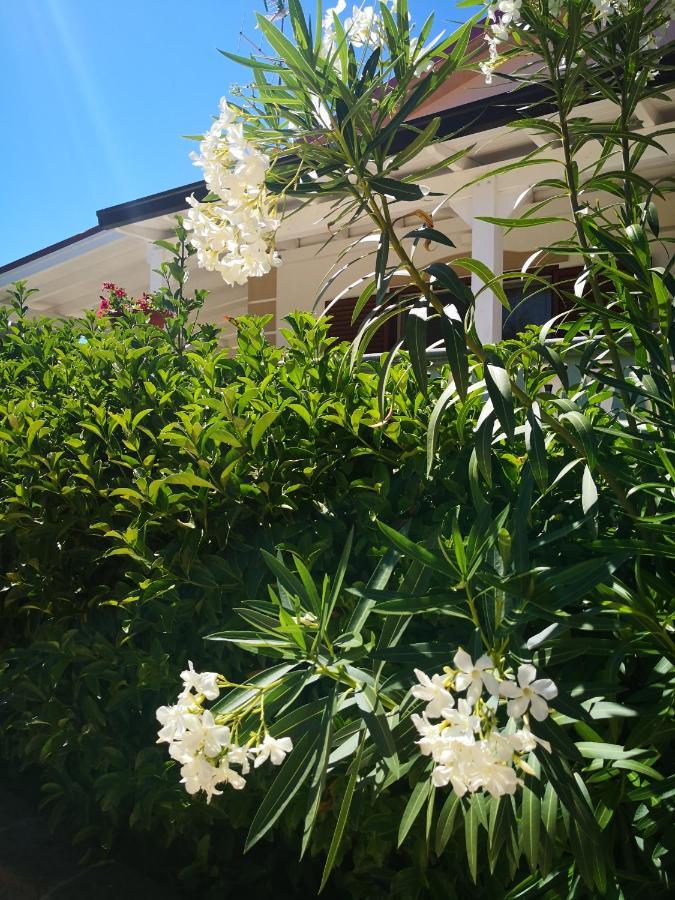 Da Alduccio Bed & Breakfast Vico Del Gargano Dış mekan fotoğraf